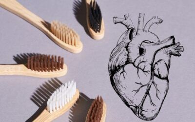 Boca, intestino, cerebro y corazón: una misma conversación biológica