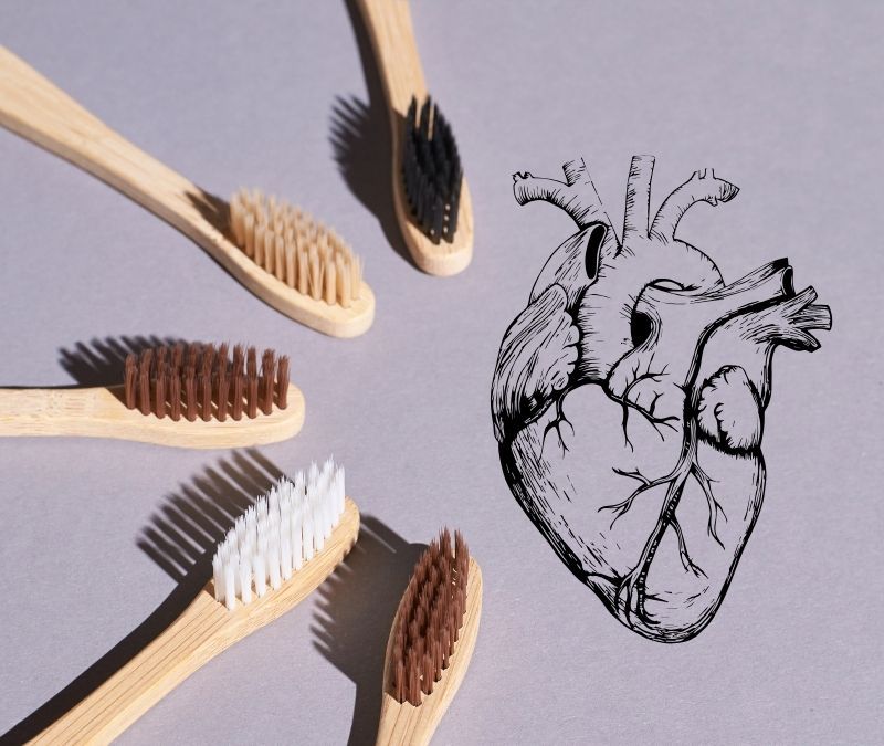 Boca, intestino, cerebro y corazón: una misma conversación biológica