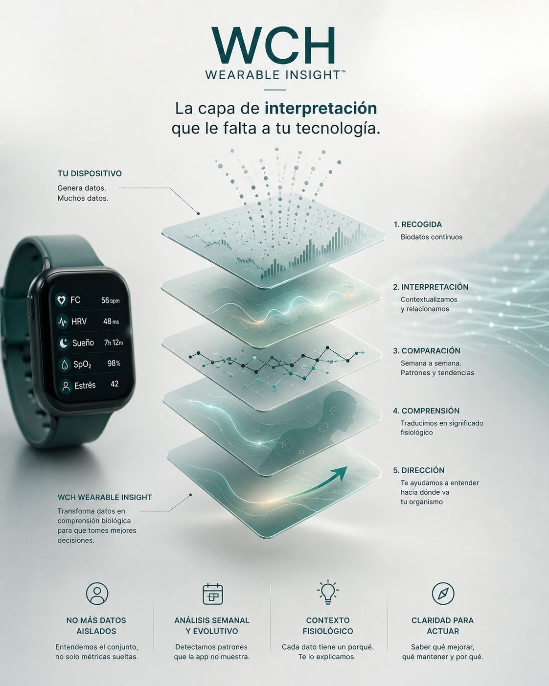 imagen representando las capas de interpretación biológica del programa WCH Wearable Insight